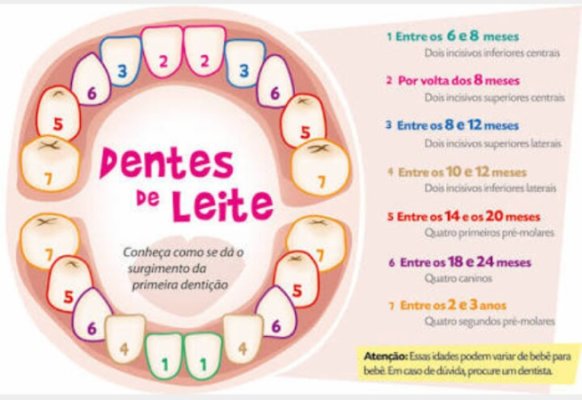 higiene oral dentes